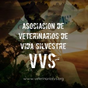 Profile photo of Junta Directiva VVS